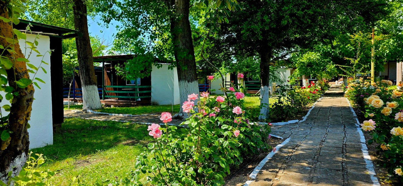 Camping Cosmos Galeriebild