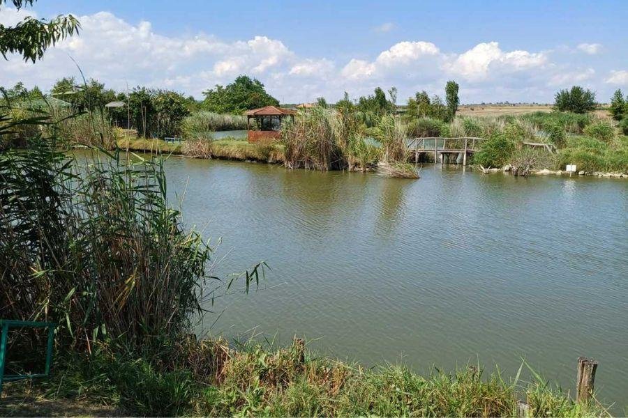 Camping Europe-South Galeriebild