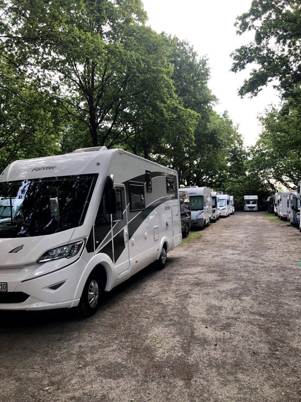 Kuhhirte Reisemobilstellplatz Galeriebild