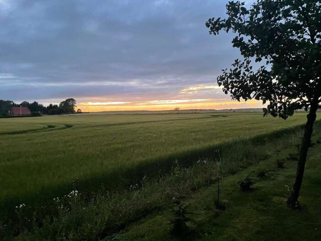 Fjeldecamp Galeriebild