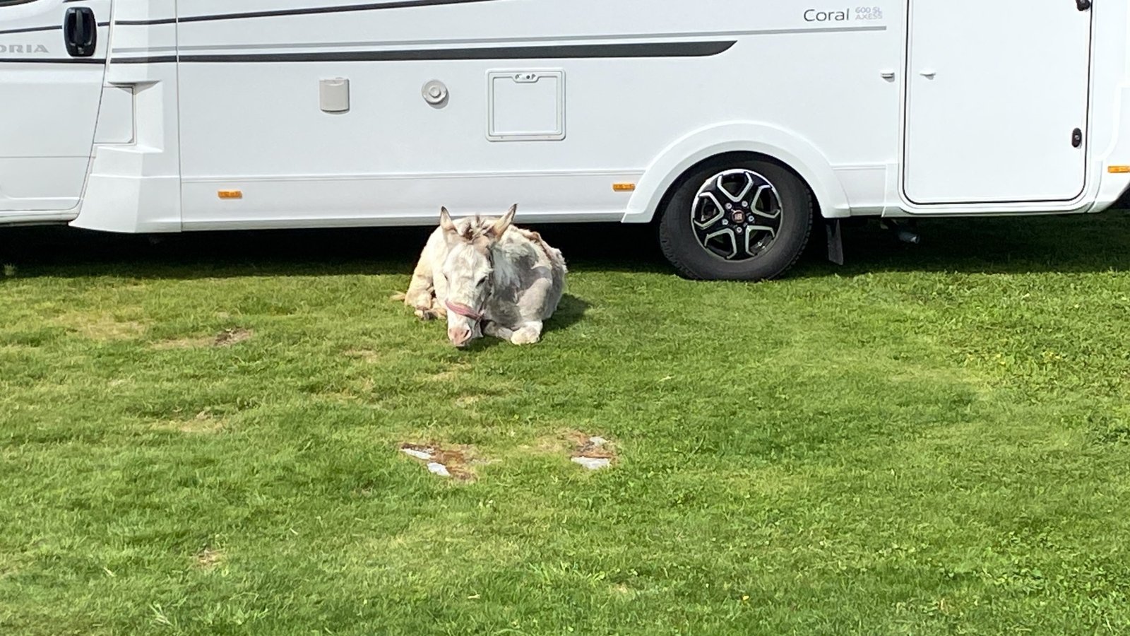 Tubbehaugen Camping