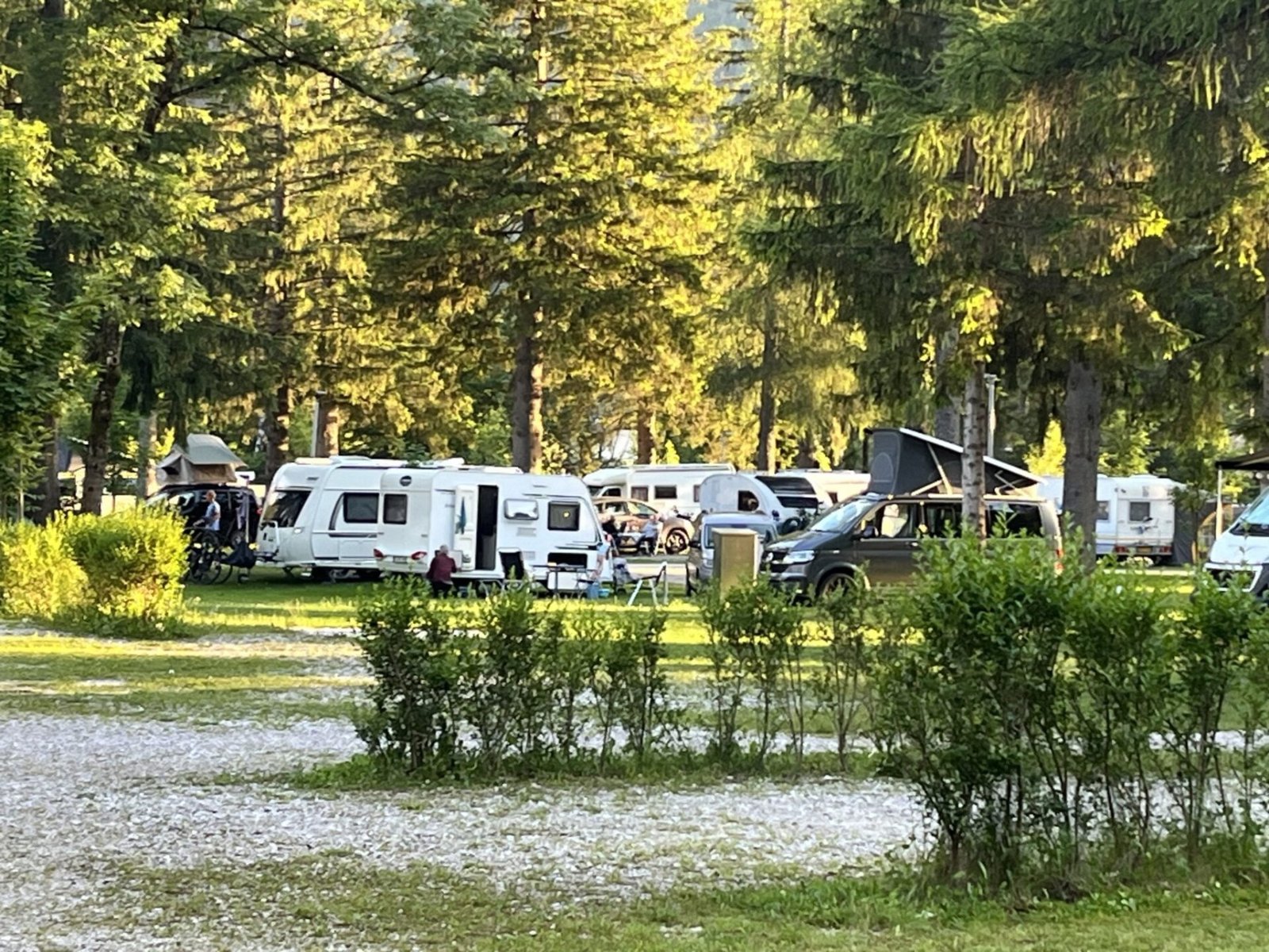 Camp Spik