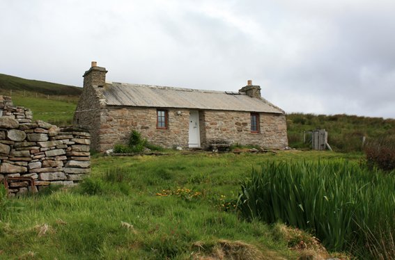 Bunnertoon Rackwick